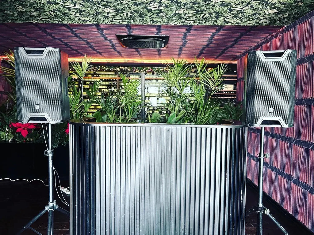 Professional DJ setup with speakers, plants, and patterned walls for wedding or event entertainment